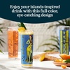 image:imageLibbey Zombie Blue 135 Oz Drinking Glasses Set of 4 VintageStyle Tiki